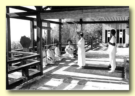 D&Ocirc;J&Ocirc;-SARBACANA